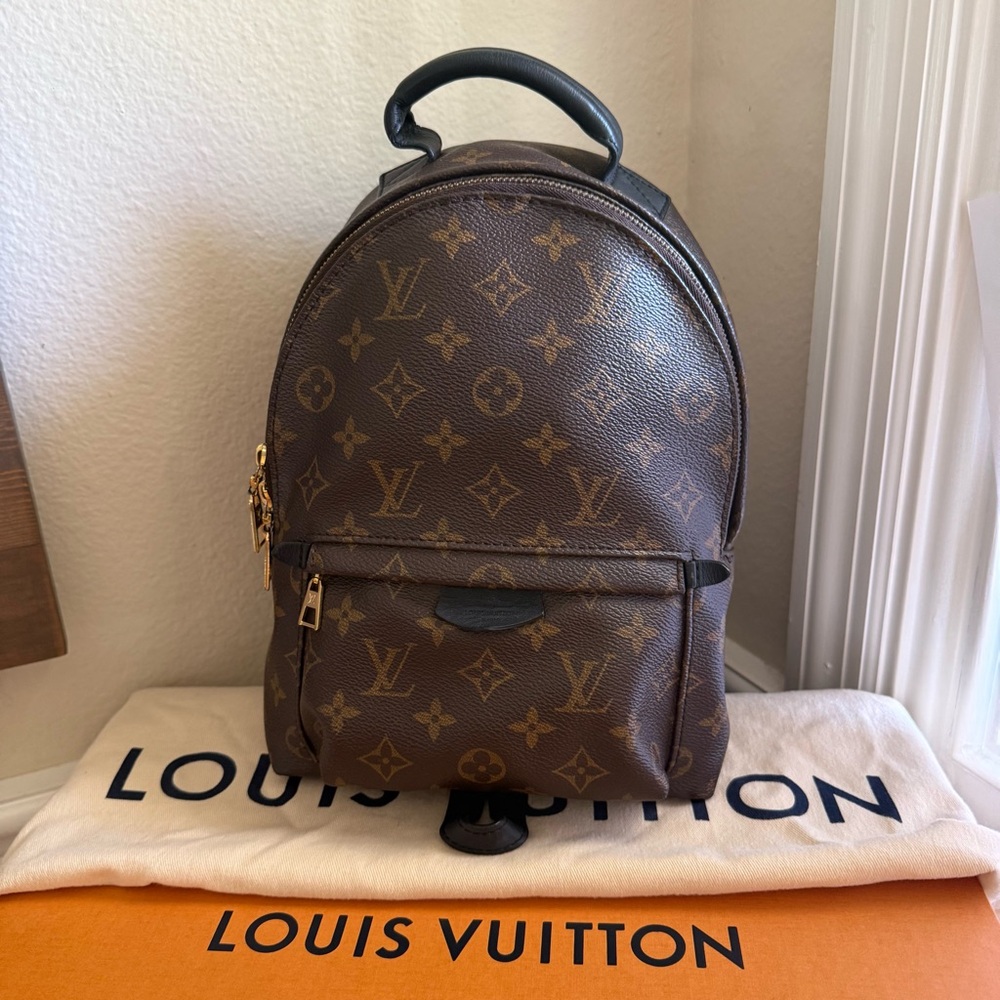 Louis Vuitton Palm Springs PM backpack - Picture 1 of 17